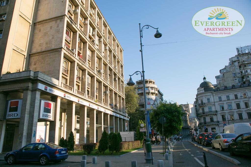 Apartament Evergreen Romarta *