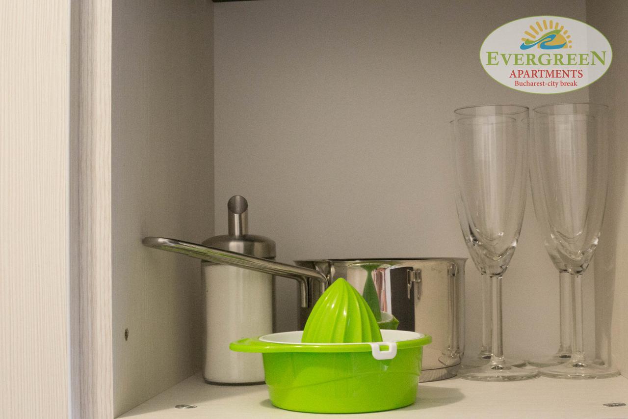 Apartament Evergreen Romarta *