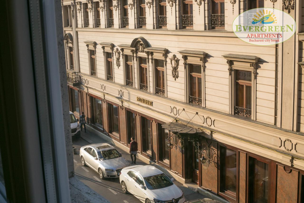 Apartament Evergreen Romarta *