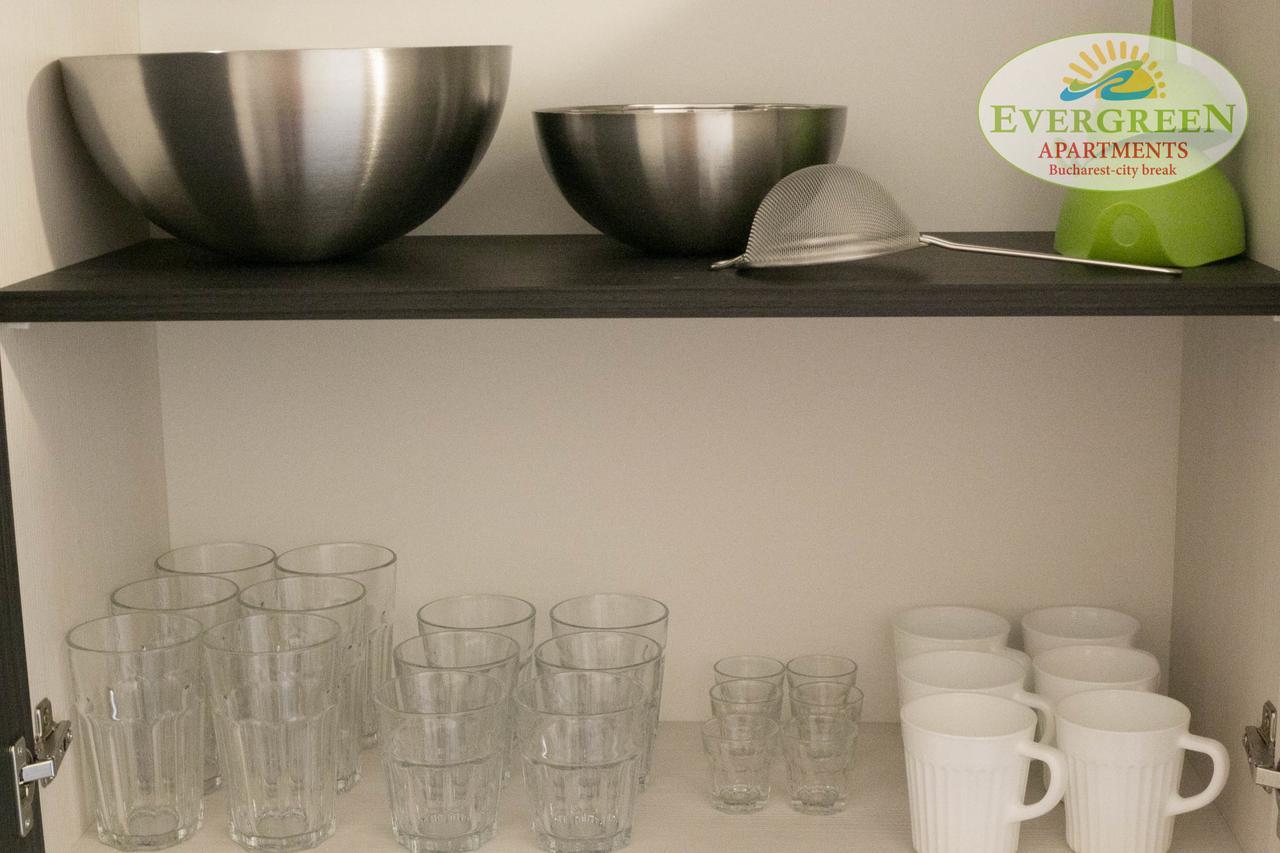 Apartament Evergreen Romarta Bucureşti