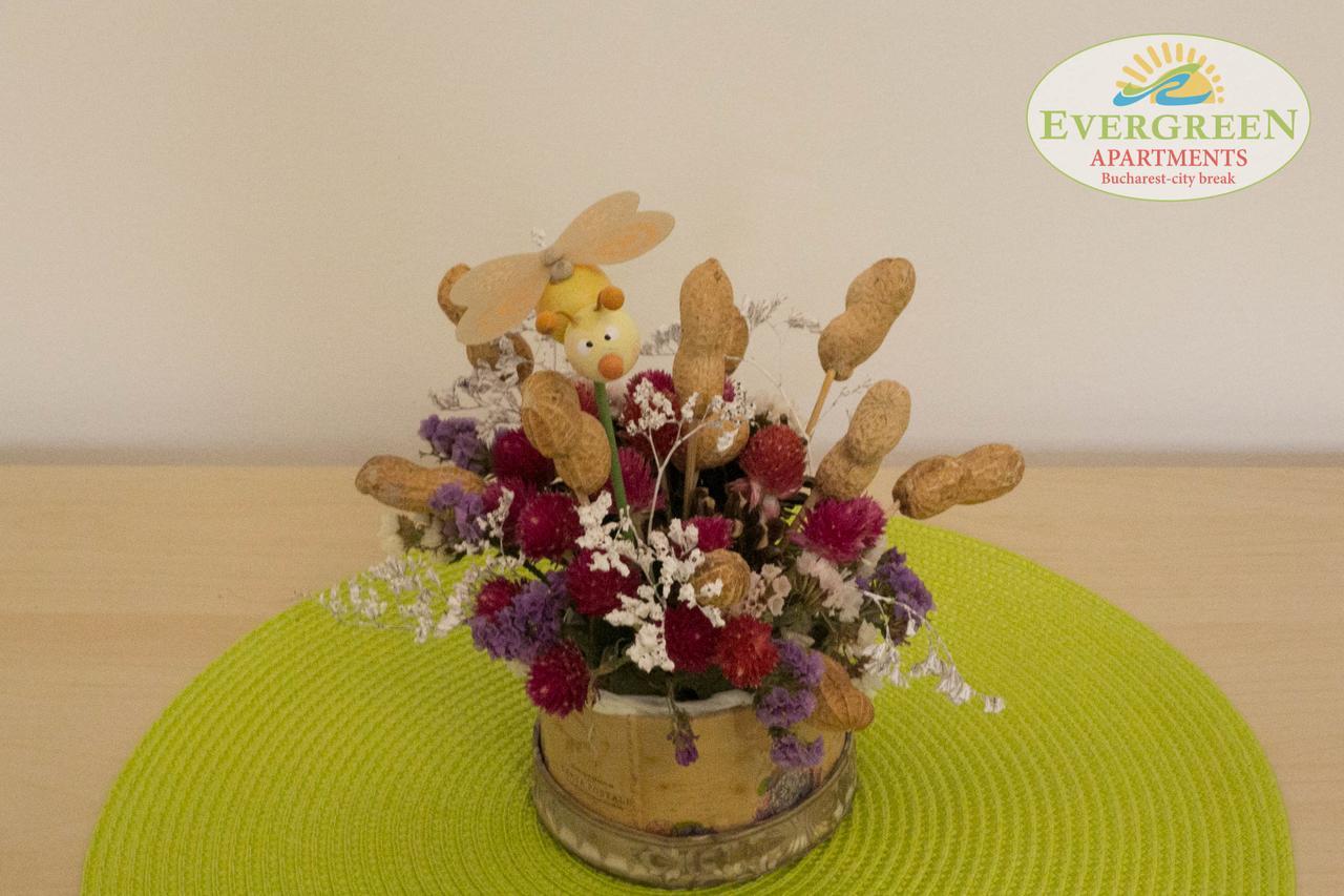 Apartament Evergreen Romarta