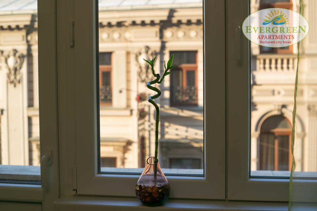 Apartament Evergreen Romarta *